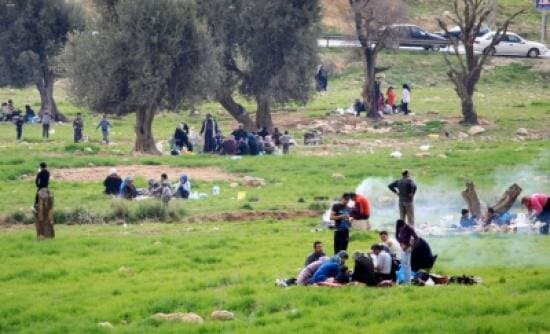 المواقع الطبيعية والمتنزهات بعجلون تستقطب العائلات والزوار