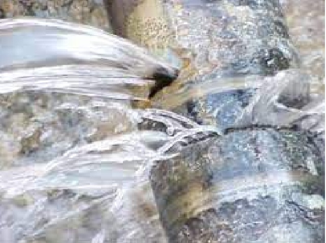 حملة أمنية لضبط الاعتداءات على المياه  والكهرباء في البادية الوسطى