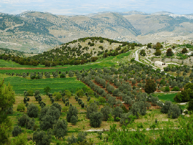 مطالب بتحسين عجلة التنمية السياحية في عجلون