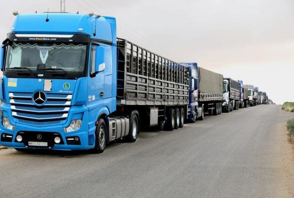 الأردن يسير 40 شاحنة محملة بالغذاء لأهلنا في غزة
