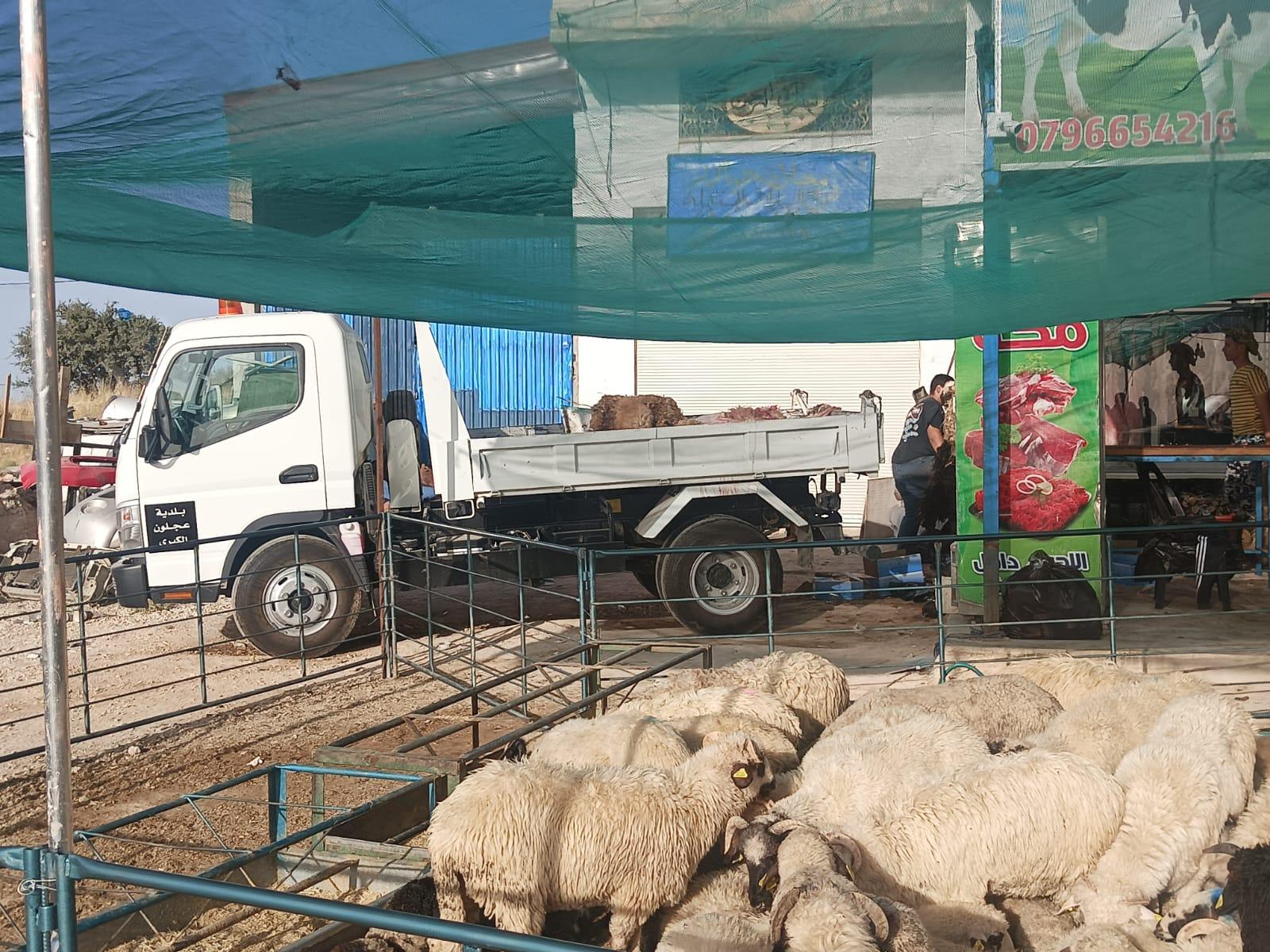 بلدية عجلون تعد خطة عمل للحفاظ على الوضع البيئي خلال عيد الأضحى المبارك