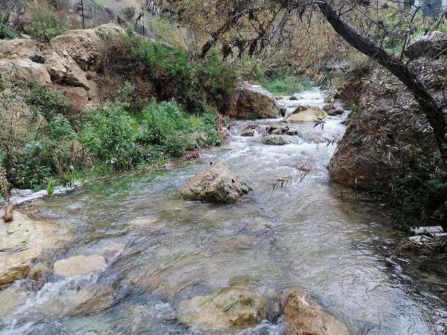 مطالب بإدراج راجب ضمن المدن السياحية العالمية