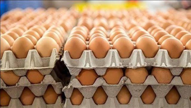 ارتفاع صادرات الأردن من البيض إلى 211 مليون بيضة